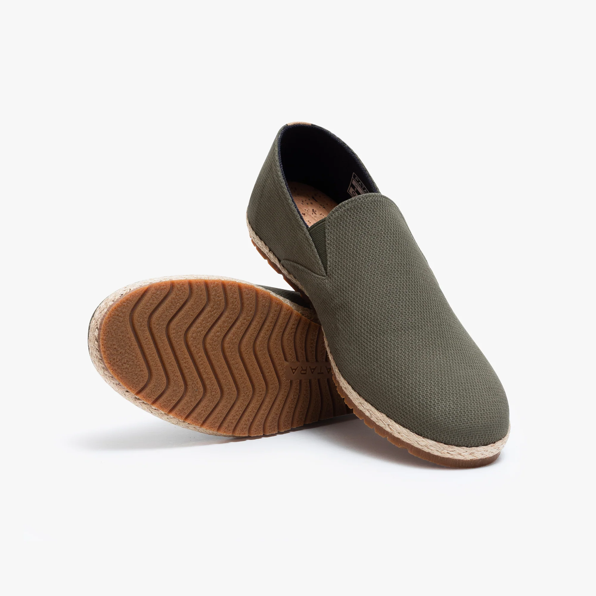 Olive Seeker - Image 3