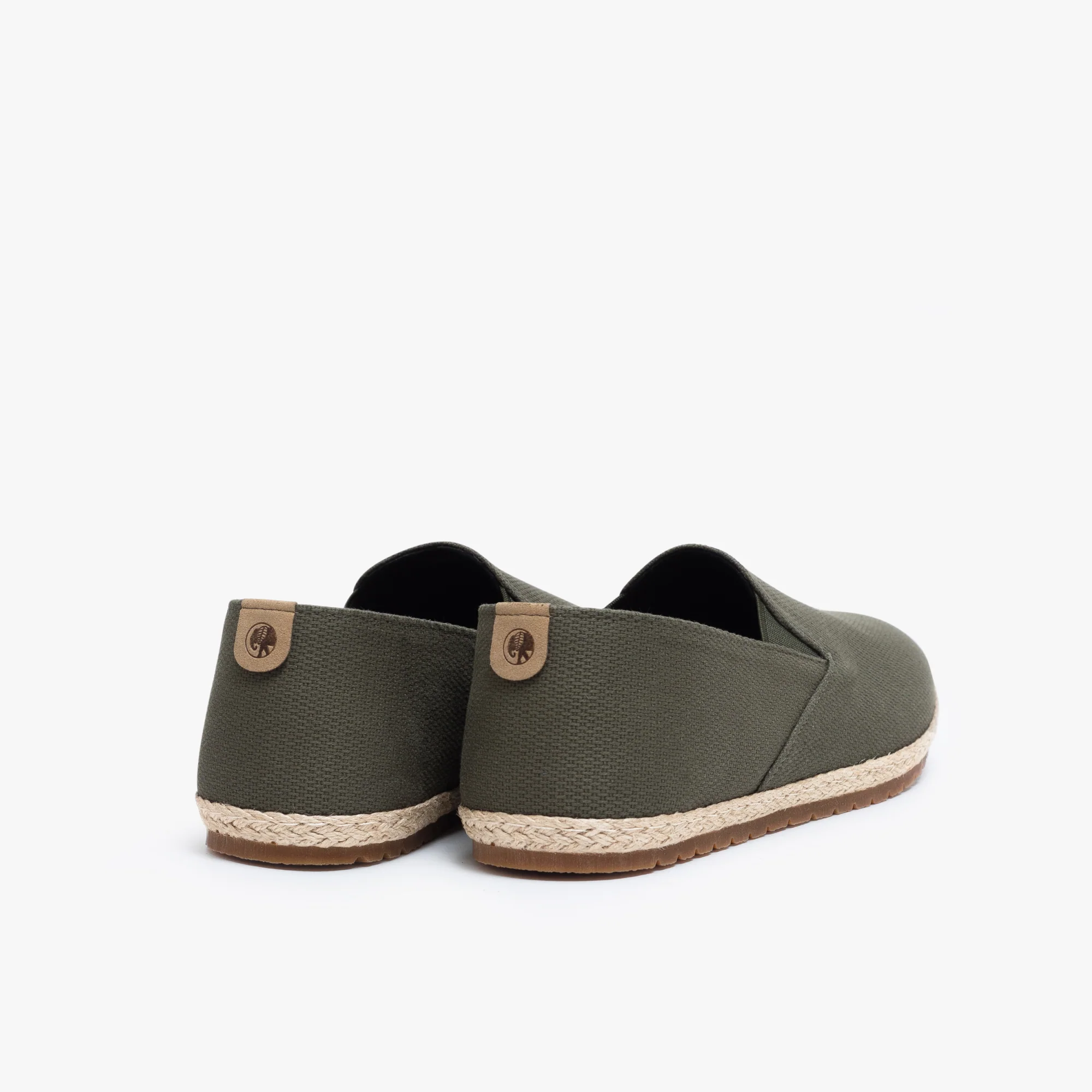 Olive Seeker - Image 4