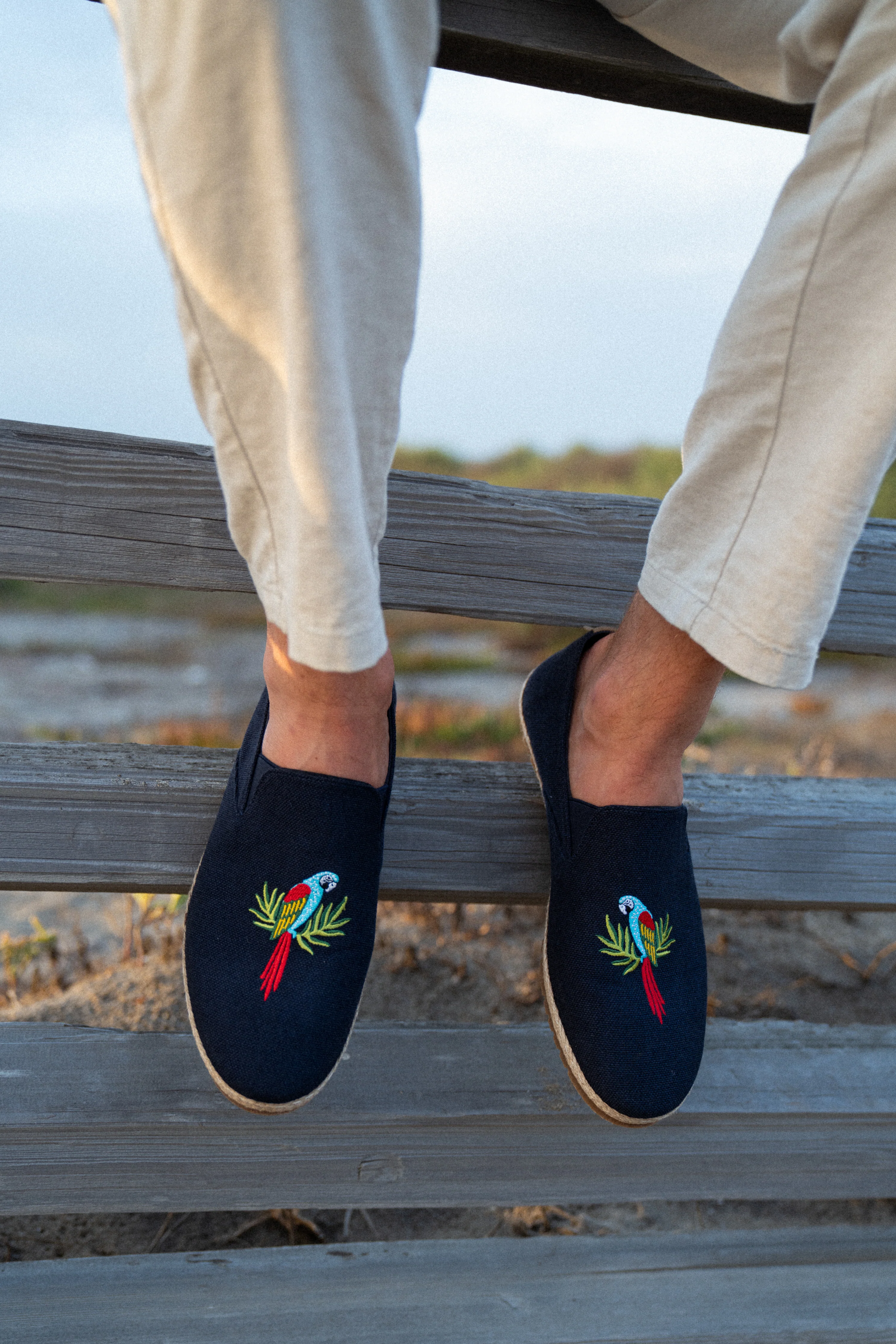 Parrot Seeker - Image 12