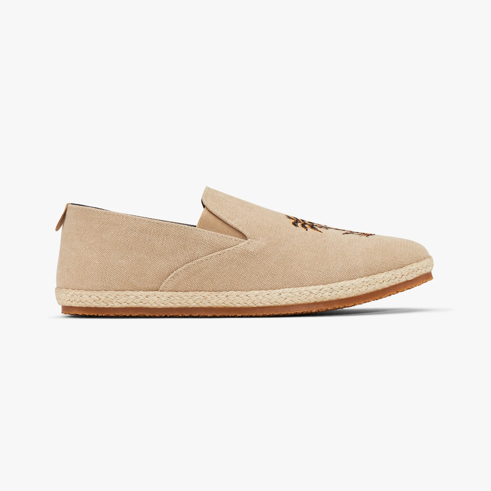 Tan Palm Seeker - Image 5