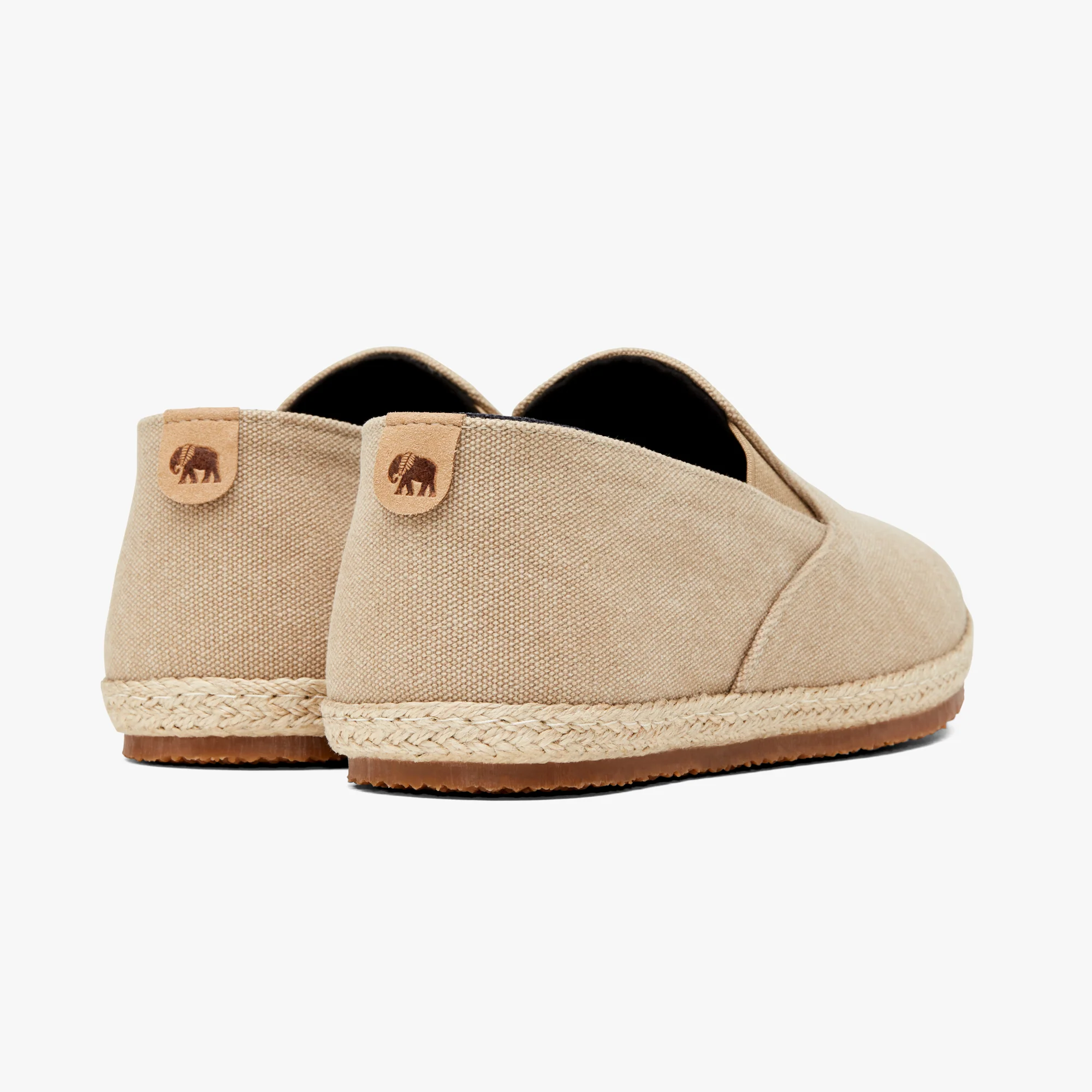 Tan Palm Seeker - Image 6
